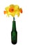 Three Daffodils in a Green Bottle