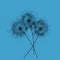 Three dandelions . Happy mother`s day greeting card on blue background. Black blowball