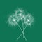 Three dandelions . Happy mother`s day greeting card on green background. White blowball