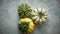 Three decorative mini pumpkins on a rustic stone background. Colorful autumn scene