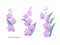 Three delicate pink twigs of an orchid Vascostylis on a white background. Set of flat cartoon vector illustration