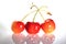 Three delicious ripe sweet cherries with cuttings isolated on a white background with reflection. Side view.