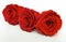 Three diamond dust red rose preserved isolated