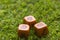 Three dice cubes on grass background