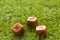 Three dice cubes on grass background