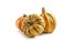 Three different food pumpkins or squashes for Halloween and Thanksgiving fresh from the market, isolated on a white background