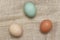 Three different Hen Eggs on a burlap surface. Eggs are brown, green and tan shot from a high angle