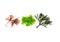 Three different species of algae on white background. Codium tomentosum, Gelidium, Ulva lactuca