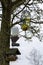 Three different types of bird feeders in a blossom tree with buds at the beginning of spring