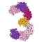 Three digit made of multicolored phlox flowers. Floral element of colorful alphabet made from flowers. Vector illustration