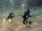 Three divers are training at the sea bottom