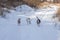 Three dogs Basenji left and two mixed breed dogs chasing each other on a country road