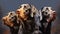 Three dogs of the breed Labrador Retriever on a dark background