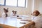 Three Dogs Dressed As Businessmen Having Meeting In Boardroom