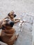 Three dogs sit infront of kitchen door