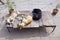 Three dogs sleeping in Varanasi street, India