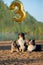 Three dogs together with a balloon on the beach. Pet`s birthday, holiday, fun.