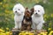 Three dogs of various ages and breed sitting obediently in forest