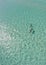 Three Dolphins Frolic in Shallow Bahamas Water