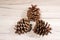 Three dried ripe opened cedar cones with seeds removed on wooden board