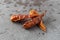 Three dried Vietnamese chili peppers on a gray background side view