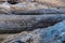 Three Driftwood Logs Closeup