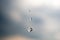 Three drops of rain of different size on the glass against a cloudy blurred sky background