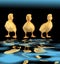 Three duck