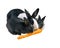 Three Dutch rabbit dwarf Mother and baby eat carrot. Isolate