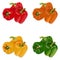 Three each red, green, yellow, and orange bell peppers. Vector illustration