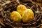 Three Easter eggs lie in a black nest of branches. Eggs are realistically colored and look like eggs of a dragon or dinosaur