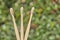 Three eco bamboo toothbrushes outdoors. Sustainable lifestyle, zero plastic