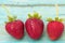 Three ecological strawberries