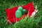 Three eggs made of stone jade lie on red bag