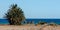 Three Egyptian girls riding camels ride along the coast of the Red Sea