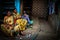 Three elderly people at rest in the Dharavi Slums in Mumbai India