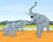 Three elephants. The family of elephants walks in savanna. Big elephant with two small elephants.