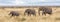Three elephants in the Masai mara