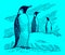 Three emperor penguins aptenodytes forsteri standing in a snowy landscape, on a blue background