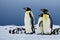 Three emperor penguins sit awkwardly on ice on gray background.