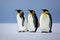 Three emperor penguins sit awkwardly on ice on gray background.
