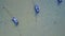 Three Empty Fishing Boats in Sea. Aerial View