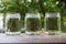Three empty round shape glass canisters on wooden desk with nature background