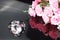 Three excellent diamonds of the first water and bouquet of pink roses with reflection on black mirror background close up view.