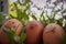 Three expressive hand drawn smiley easter eggs in a flowery garden background