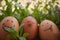 Three expressive hand drawn smiley easter eggs in a flowery garden background