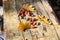 Three fallen yellow oak tree leaves and red acorns on old wooden board background close up, golden autumn foliage on bench in park