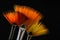 Three fan shaped paintbrushes. Artistic flat fan brushes for watercolor or acrylic painting on black background