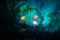 Three fantasy glowing mushrooms in mystery dark forest close-up. Beautiful macro shot of magic mushroom or three souls lost in ava