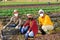 Three farmers posing on leaf vegetables field